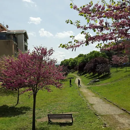 Apartment Miro House Capannelle Rome