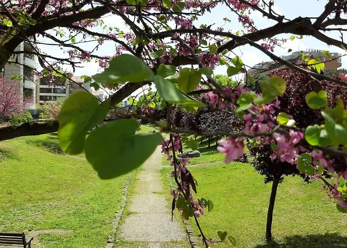 Daire Miro House Capannelle Roma