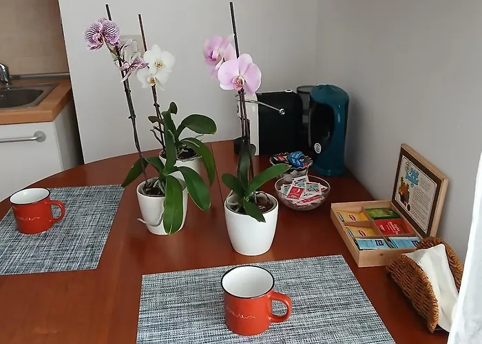 Miro House Capannelle Roma