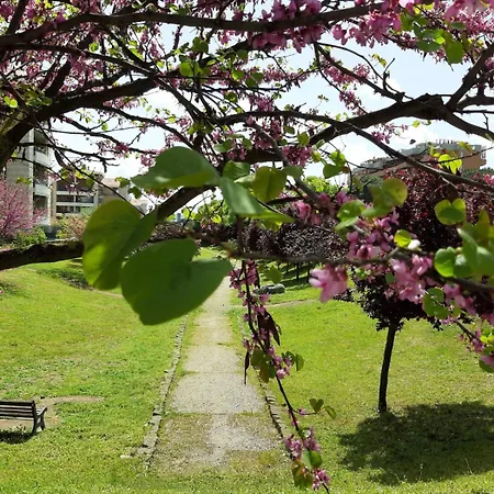 Apartment Miro House Capannelle Rom