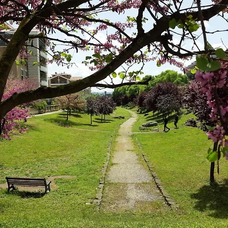 Miro House Capannelle *