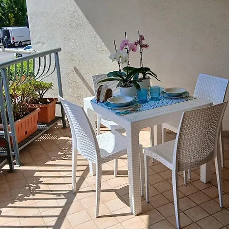 Miro House Capannelle *