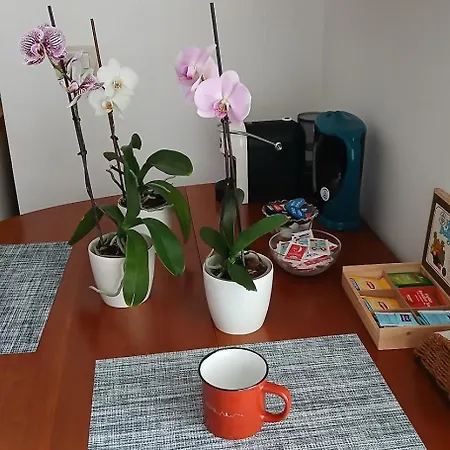 Miro House Capannelle Rom