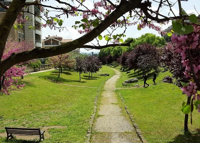 Miro House Capannelle *